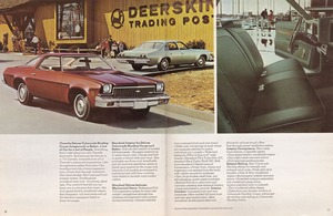 1973 Chevrolet Chevelle (Cdn)-10-11.jpg